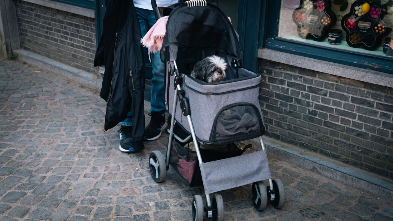 collapsible stroller
